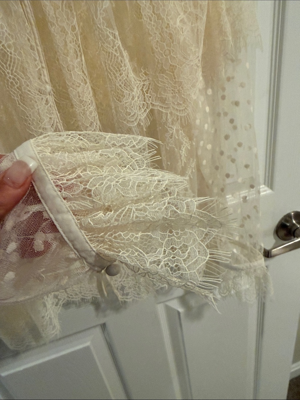 LOFT Cream Lace Button-Front Sheer Blouse - Picture 8 of 9